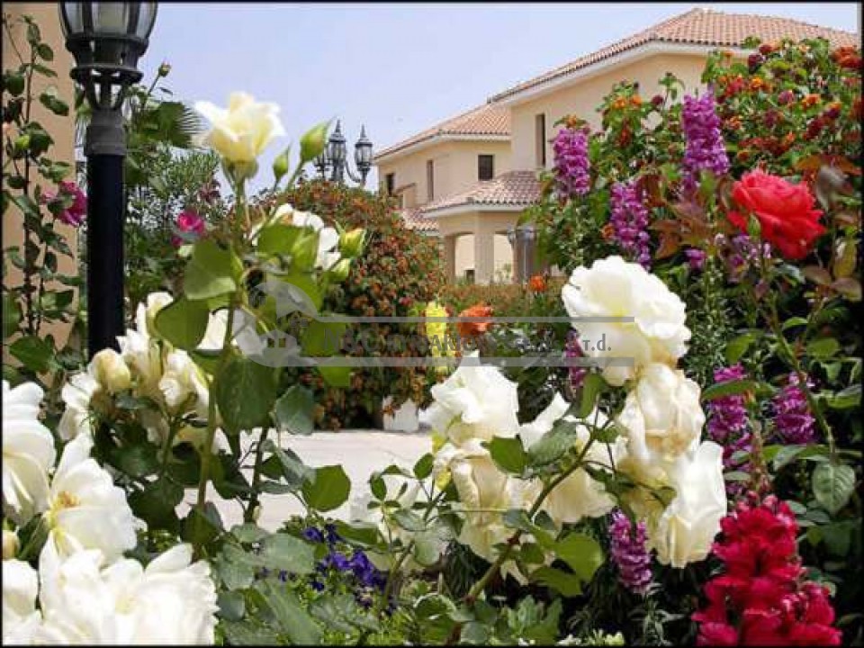 Three and Four Bedrooms villas for rent in Oroklini village, Larnaca